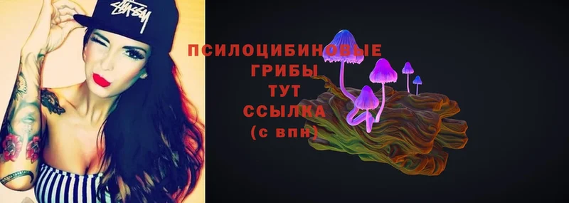 Галлюциногенные грибы Magic Shrooms  где можно купить   Нестеров 